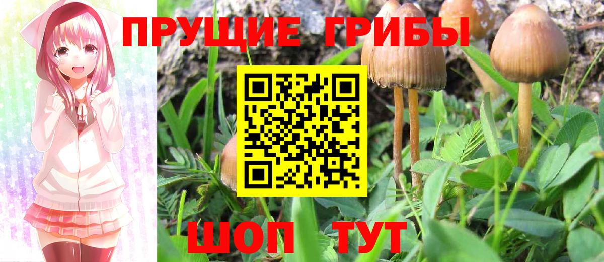 Галлюциногенные грибы MAGIC MUSHROOMS Екатеринбург